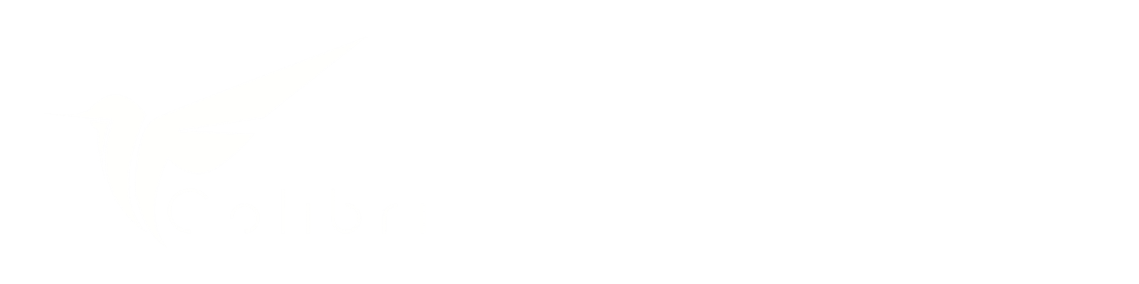 colibrilogistique.com